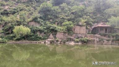 农村创业新思路 开个小工厂，结合水果种植，走出一片天
