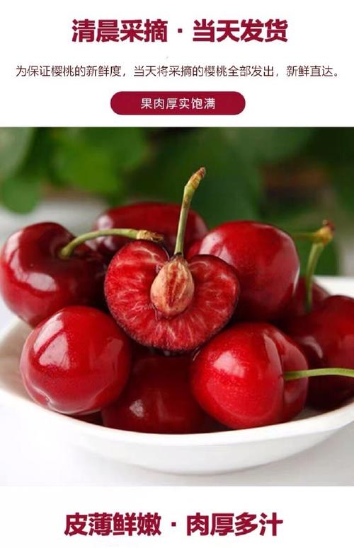 天水大樱桃露地种植指南 美早车厘子当季整箱5斤新鲜水果