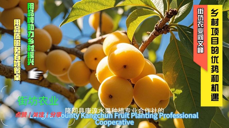 品味自然，健康优选——隆回县康淳水果种植专业合作社的绿色黄金李
